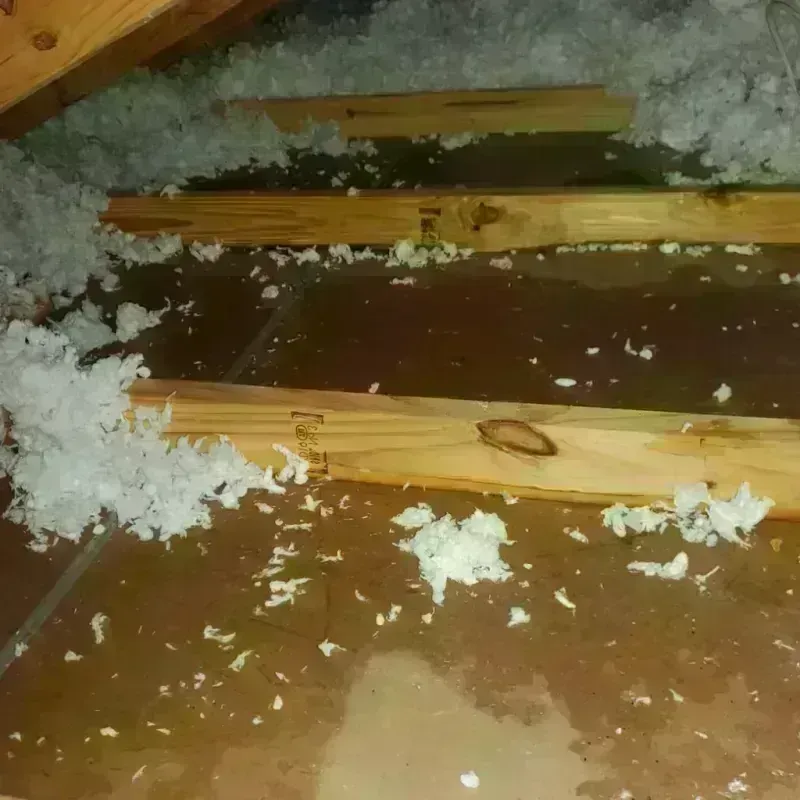 Attic Water Damage in Wrens, GA