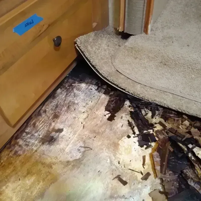 Best Wood Floor Water Damage Service in Wrens, GA